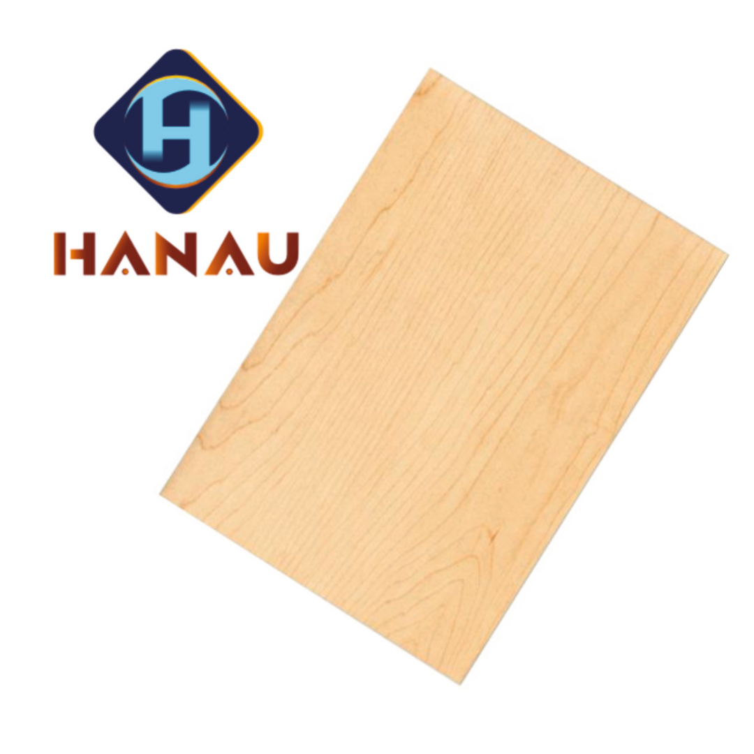 Hanau (9)